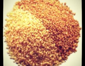 bio-couscous