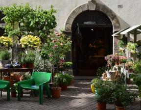 mario woche - blumenladen - foto maarian cuccato