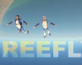 Campionato italiano di paracadutismo 2014 - FreeFly