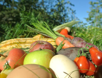 biodiversit-