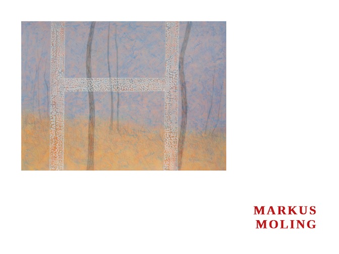 markus moling