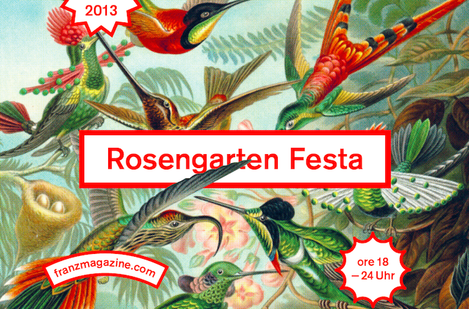 Rosengarten Festa - Thomas Kronbichler Birds