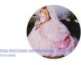 the wedding enterprise #9