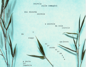 Schermata 2023-03-16 alle 19.46.38