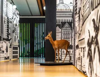 wild-city-de-stefano-3_52789863091_o
